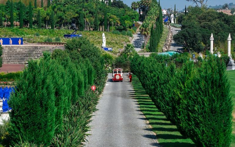 A beautiful, clear landscape view, symbolizing clarity and well-being.